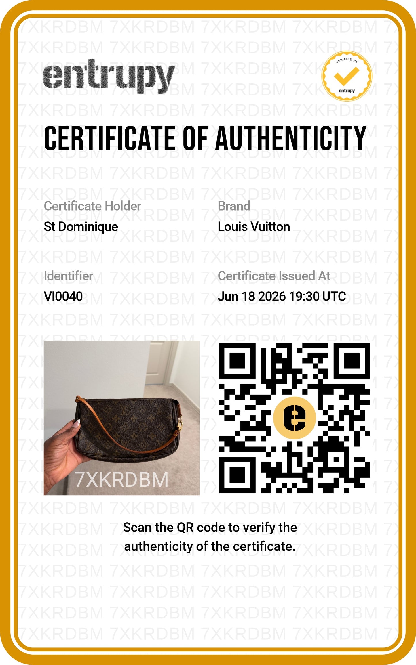 Louis Vuitton Monogram Canvas Mini Pochette